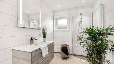 Quelle plante d’intérieur choisir pour une salle de bain sans fenêtre et peu lumineuse ?-Le Home Staging